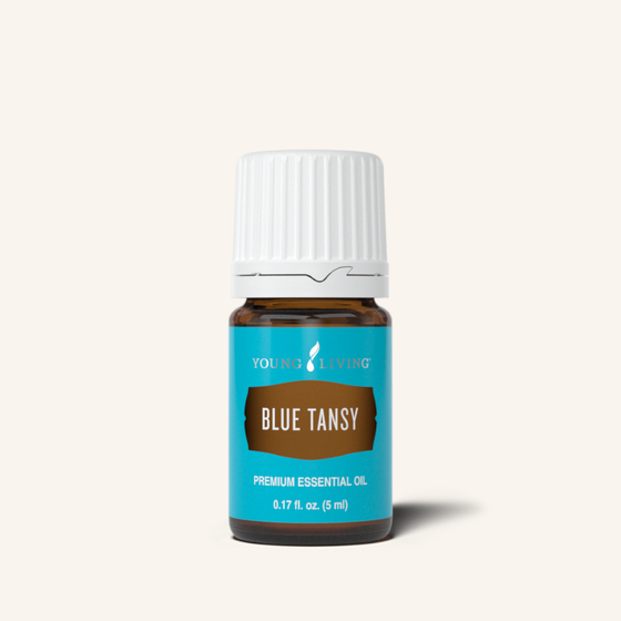 Young Living’s Blue Tansy Essential Oil Is Now Available As A Single Oil! Find Out Why We Love It So Much!