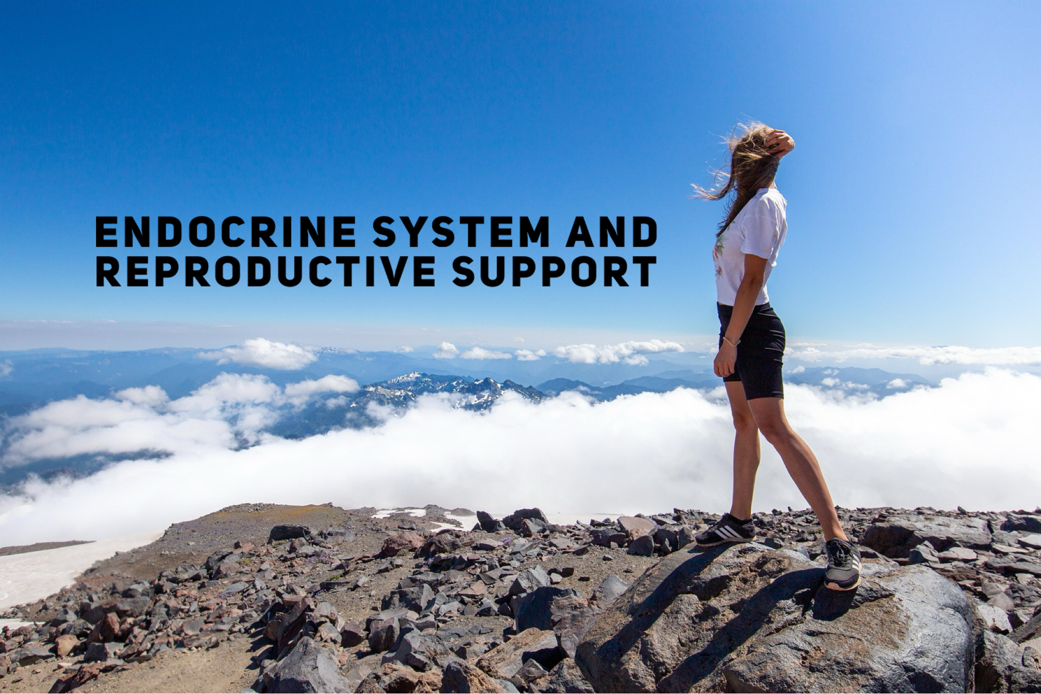 Endocrine System And Reproductive Support!