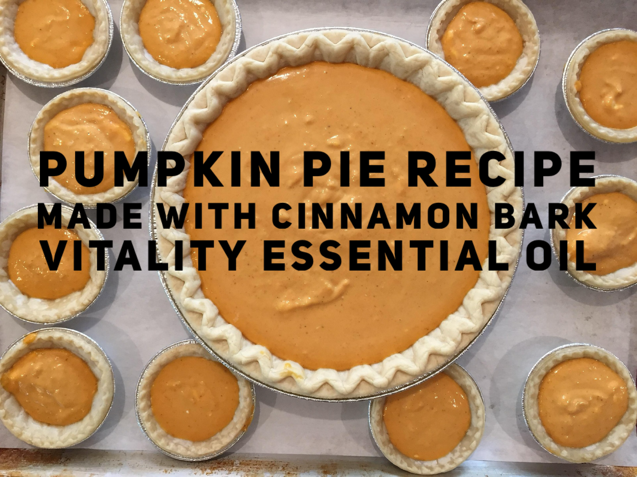 Pumpkin Pie Recipe Made With Cinnamon Bark Vitality Essential Oil