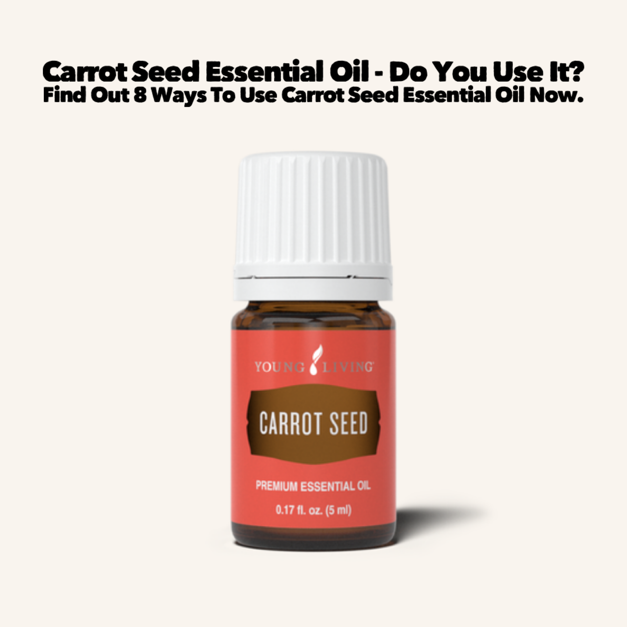 Carrot Seed Essential Oil – Do You Use It? Find Out 8 Ways To Use Carrot Seed Essential Oil Now.