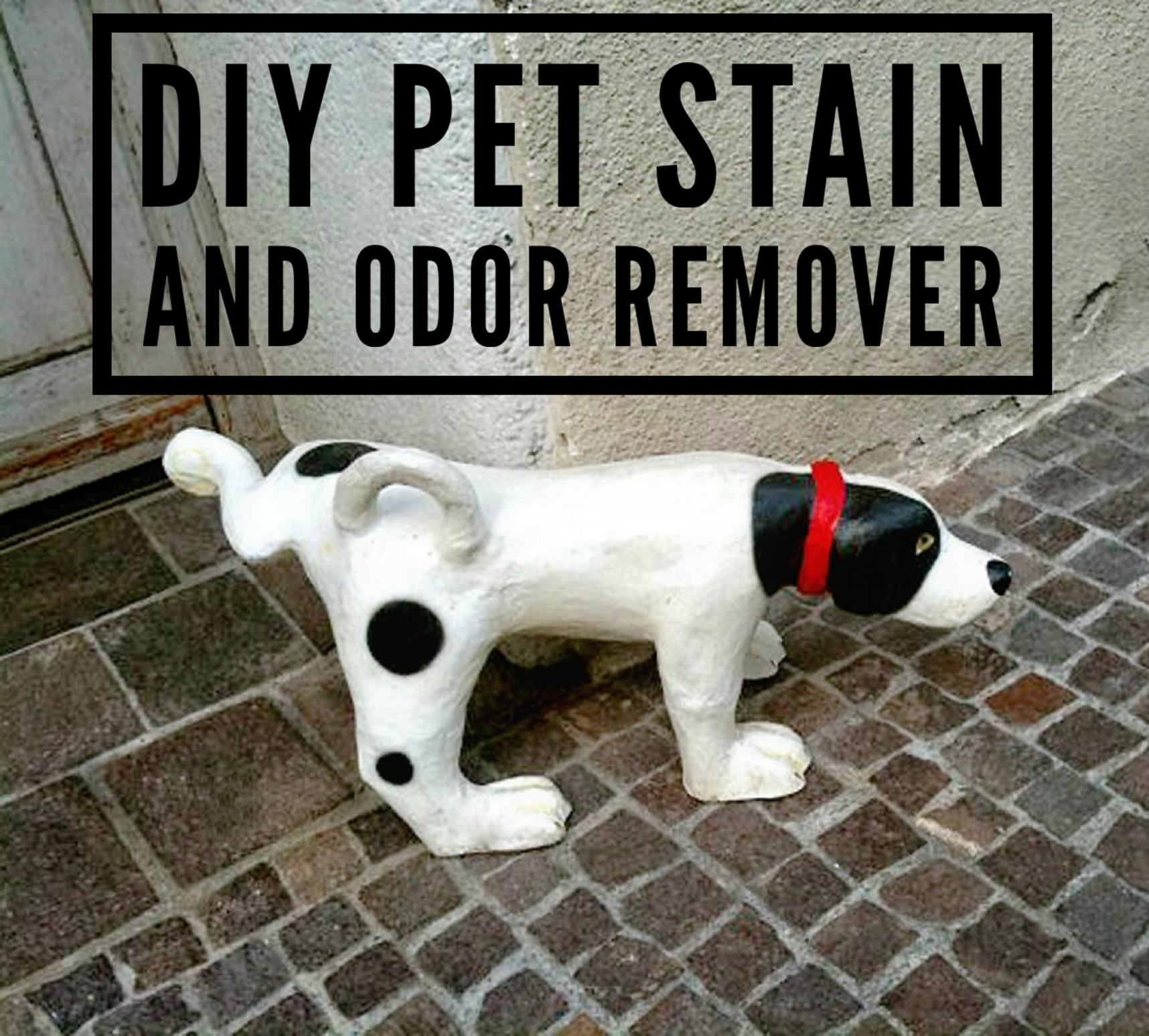 DIY Pet Stain And Odor Remover