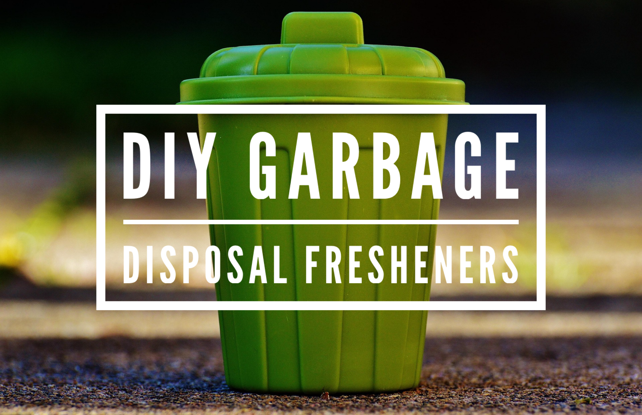 DIY Garbage Disposal Fresheners