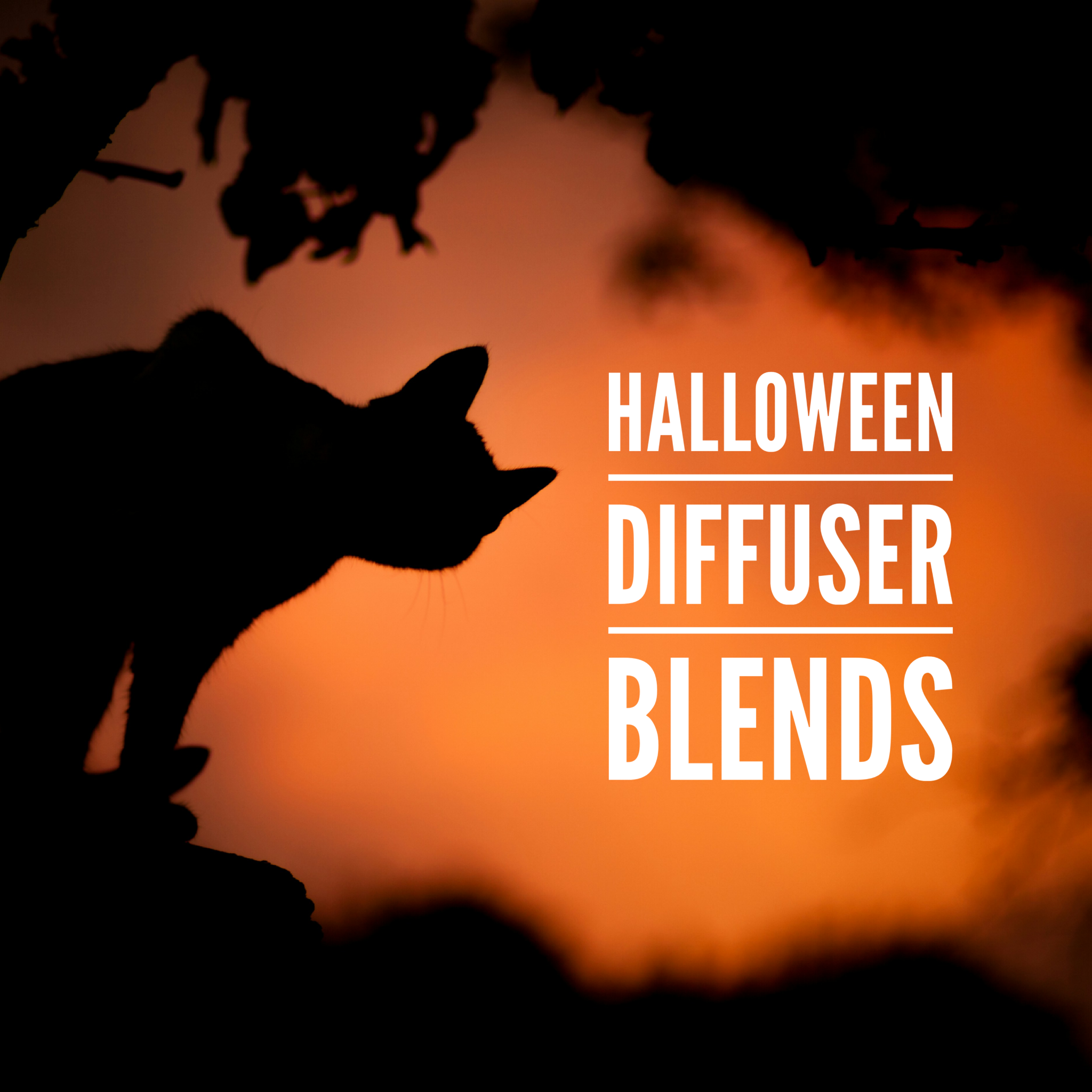 Halloween Diffuser Blends