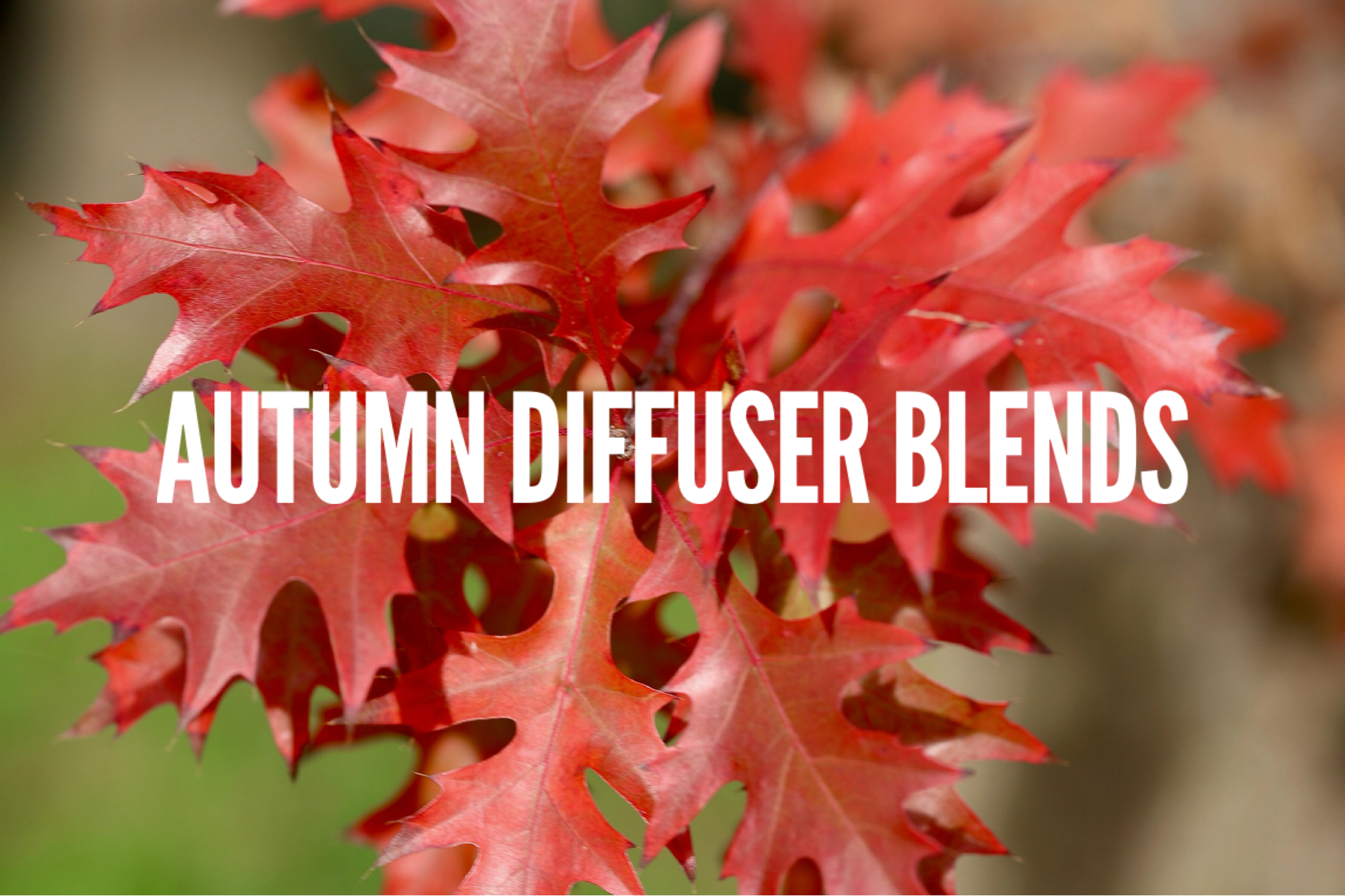 Autumn Diffuser Blends