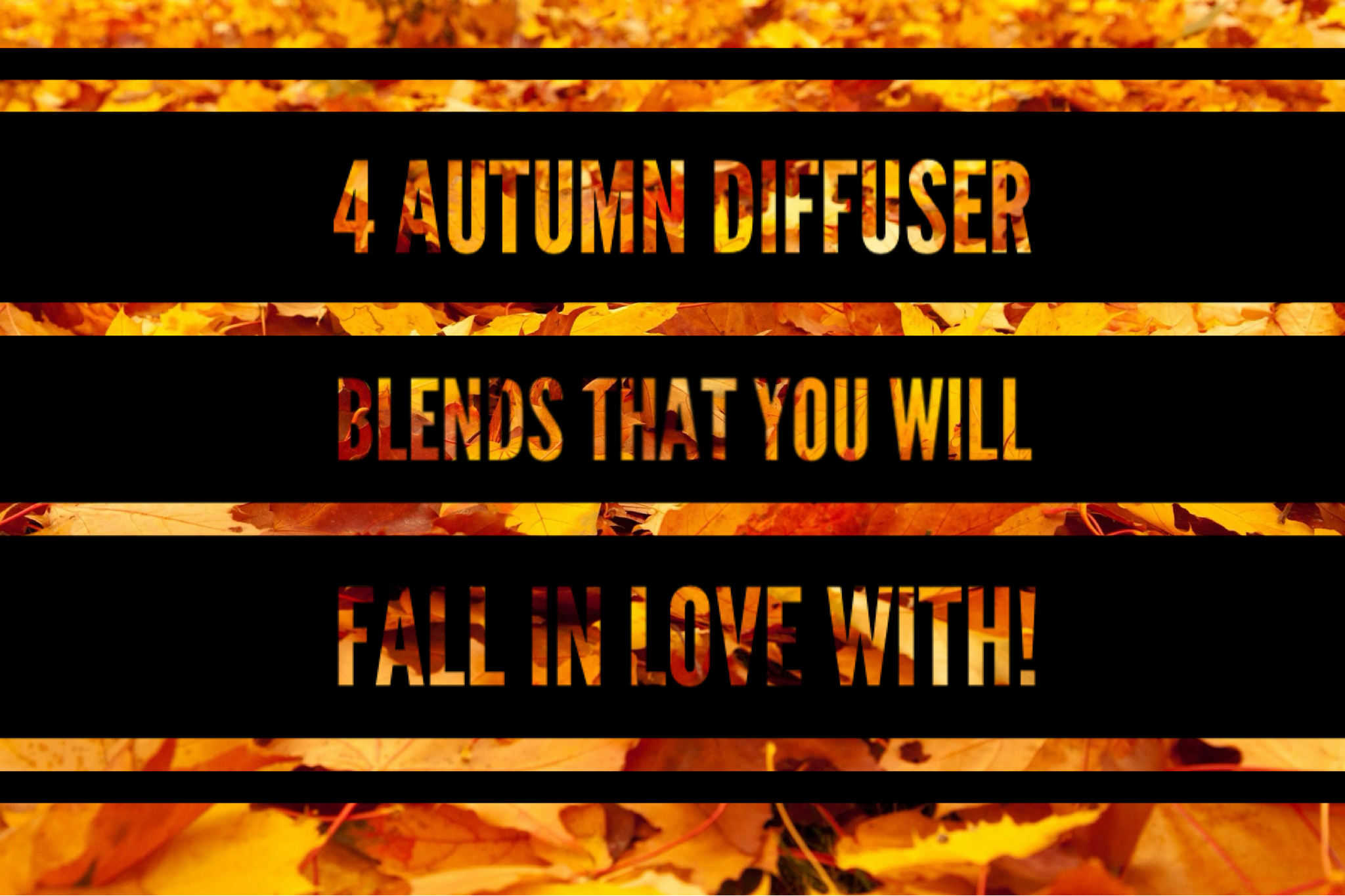 4 Autumn Diffuser Blends That You Will Fall In Love With!