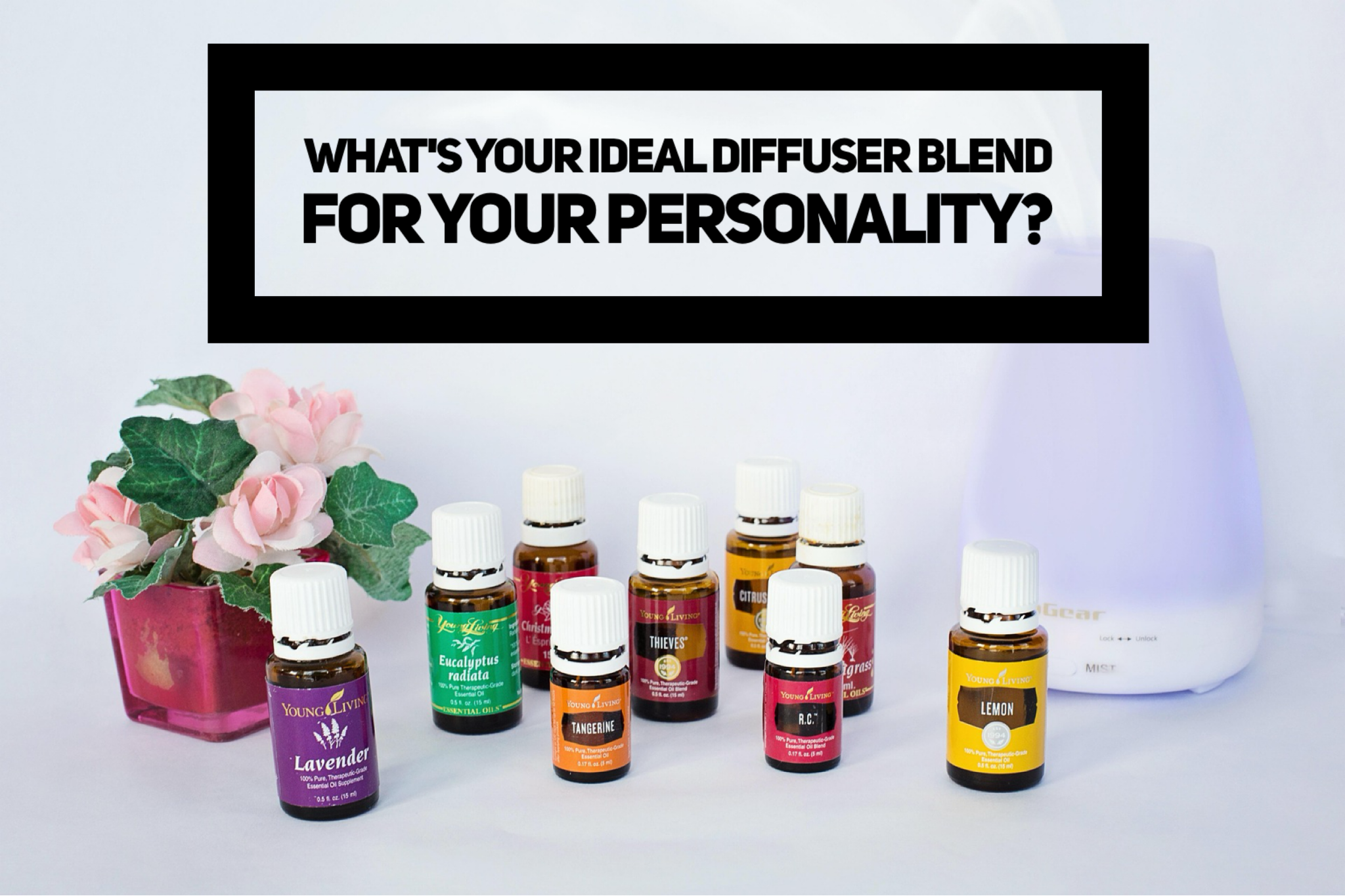 What’s Your Ideal Diffuser Blend For Your Personality?