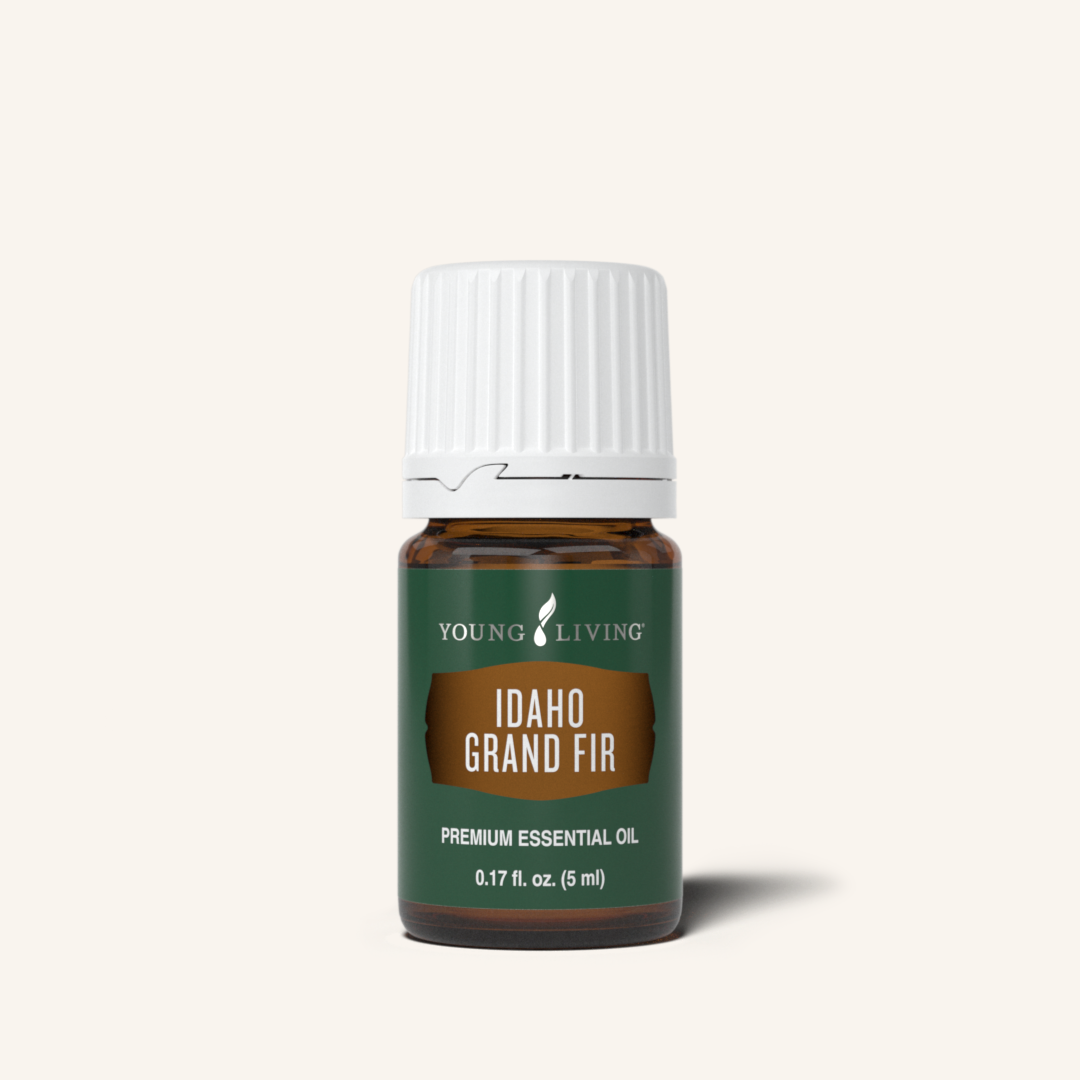 Where’s Idaho Balsam Fir From Young Living? Guess What? It’s Now Idaho Grand Fir!