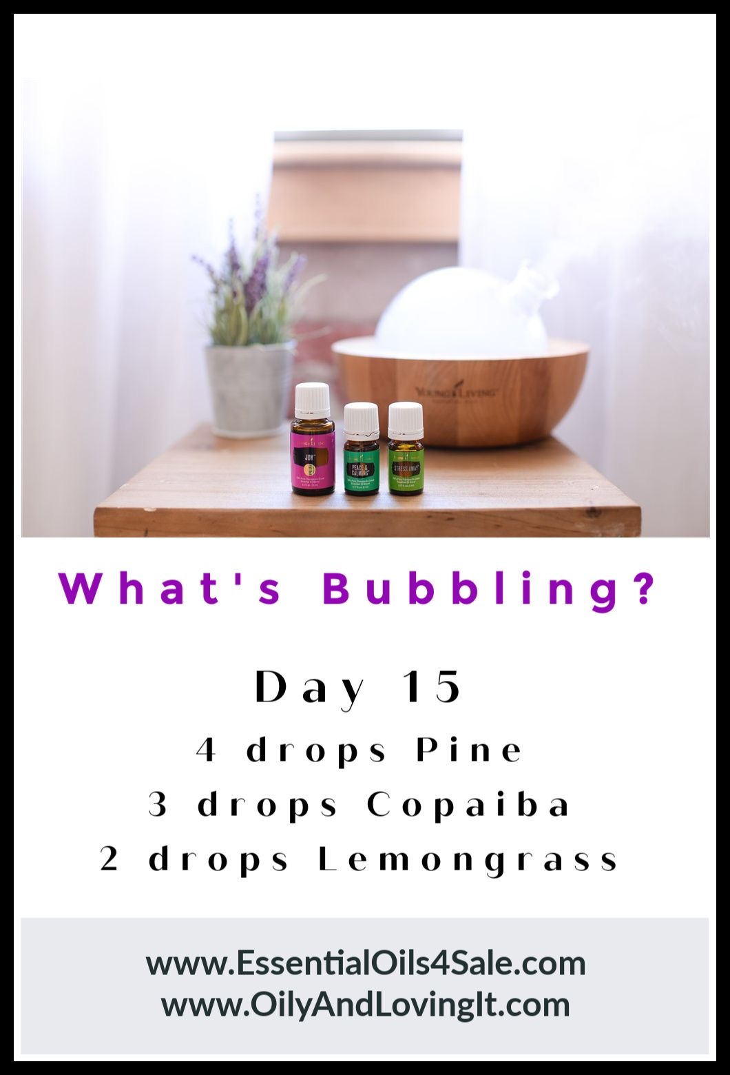 What’s Bubbling? Day 15 – Pine, Copaiba And Lemongrass Essential Oils