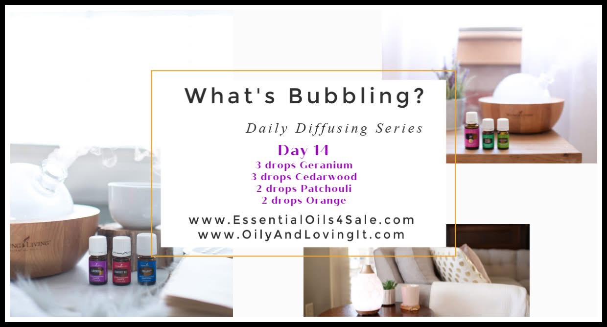 What’s Bubbling? Day 14 – Geranium, Cedarwood, Patchouli And Orange Essential Oils