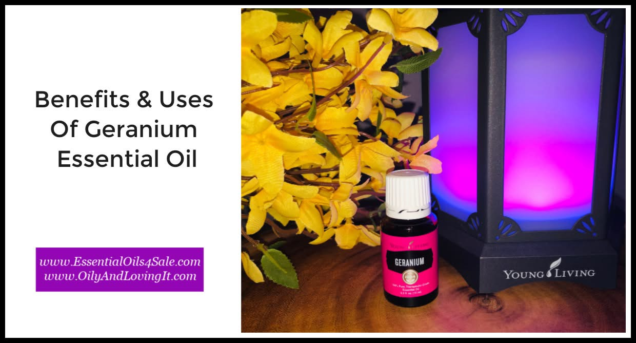 Benefits And Uses Of Geranium Essential Oil With A DIY Air And Fabric Refreshener