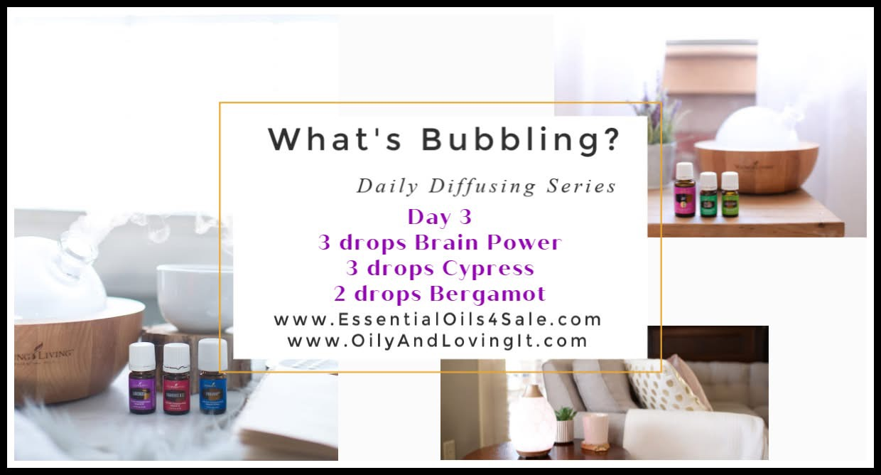 What’s Bubbling? Day 3 – Brain Power, Cypress And Bergamot Essential Oils