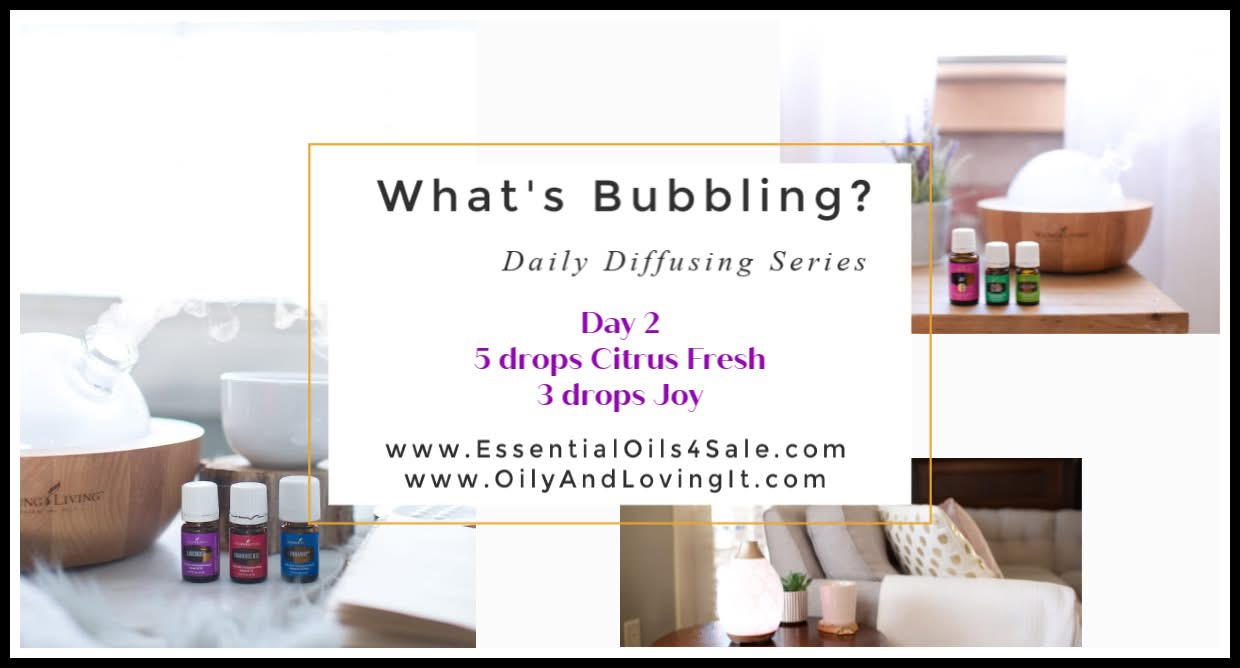 What’s Bubbling? Day 2 – Citrus Fresh and Joy!