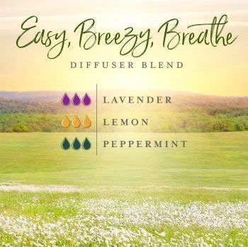 Easy, Breezy, Breathe Diffuser Blend