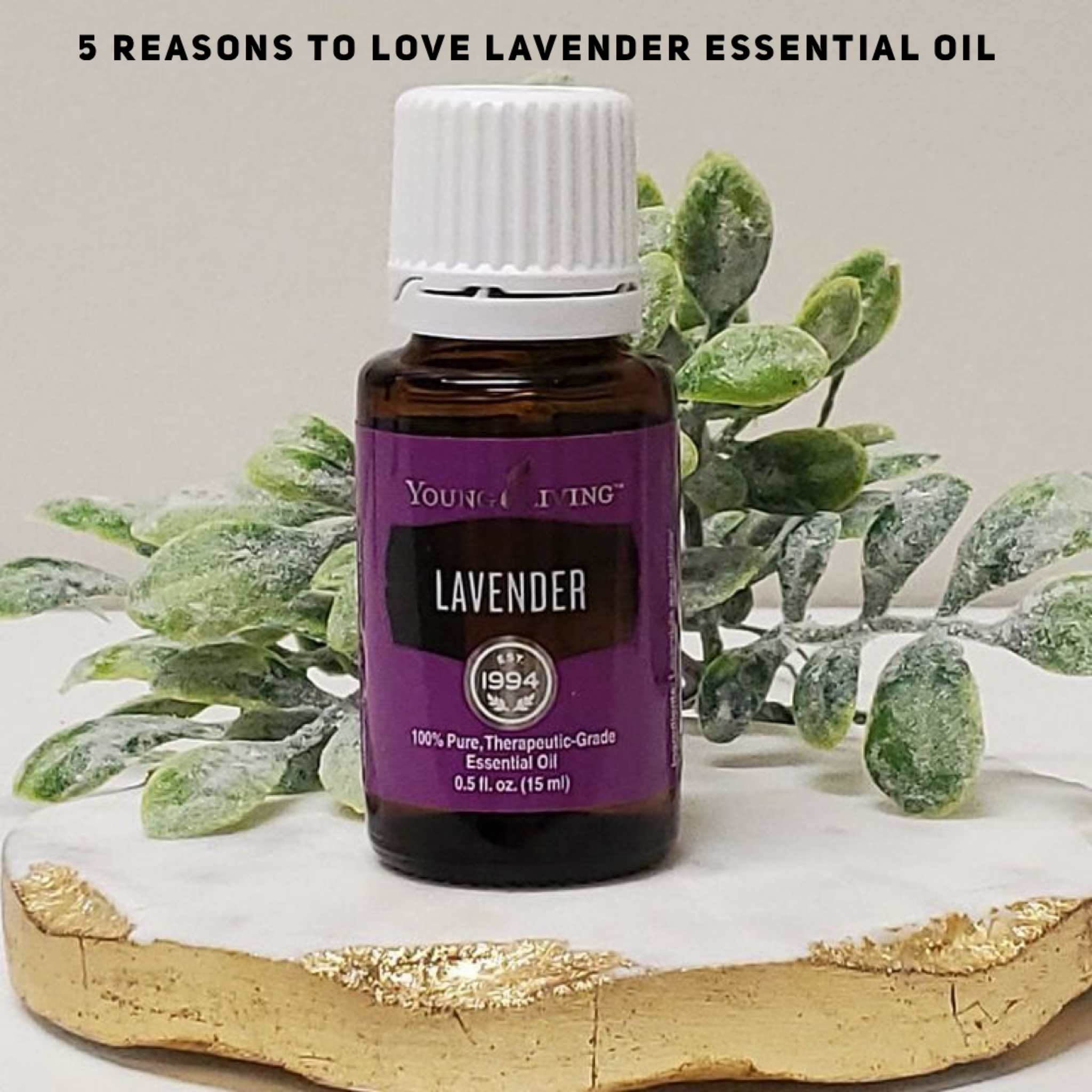 5 Reasons To Love Lavender Essential Oil