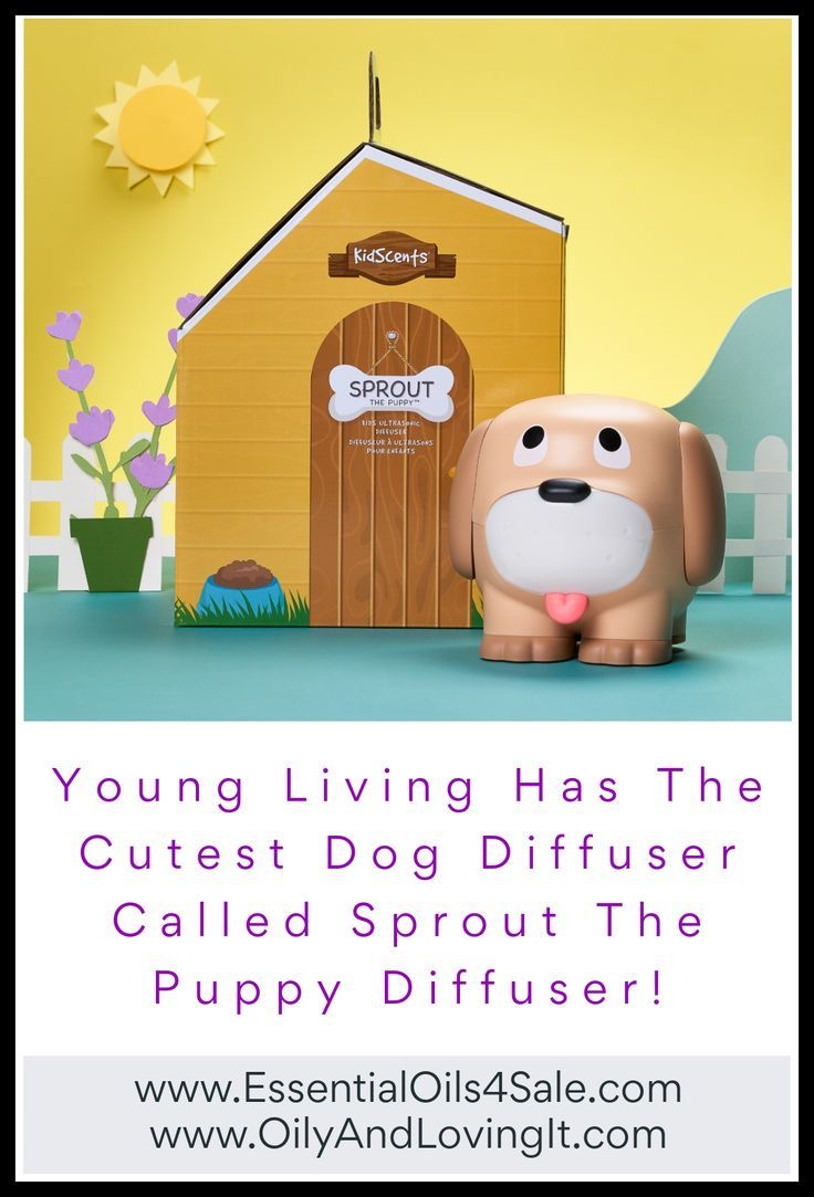 Young Living Has The Cutest Dog Diffuser Called Sprout The Puppy Diffuser!