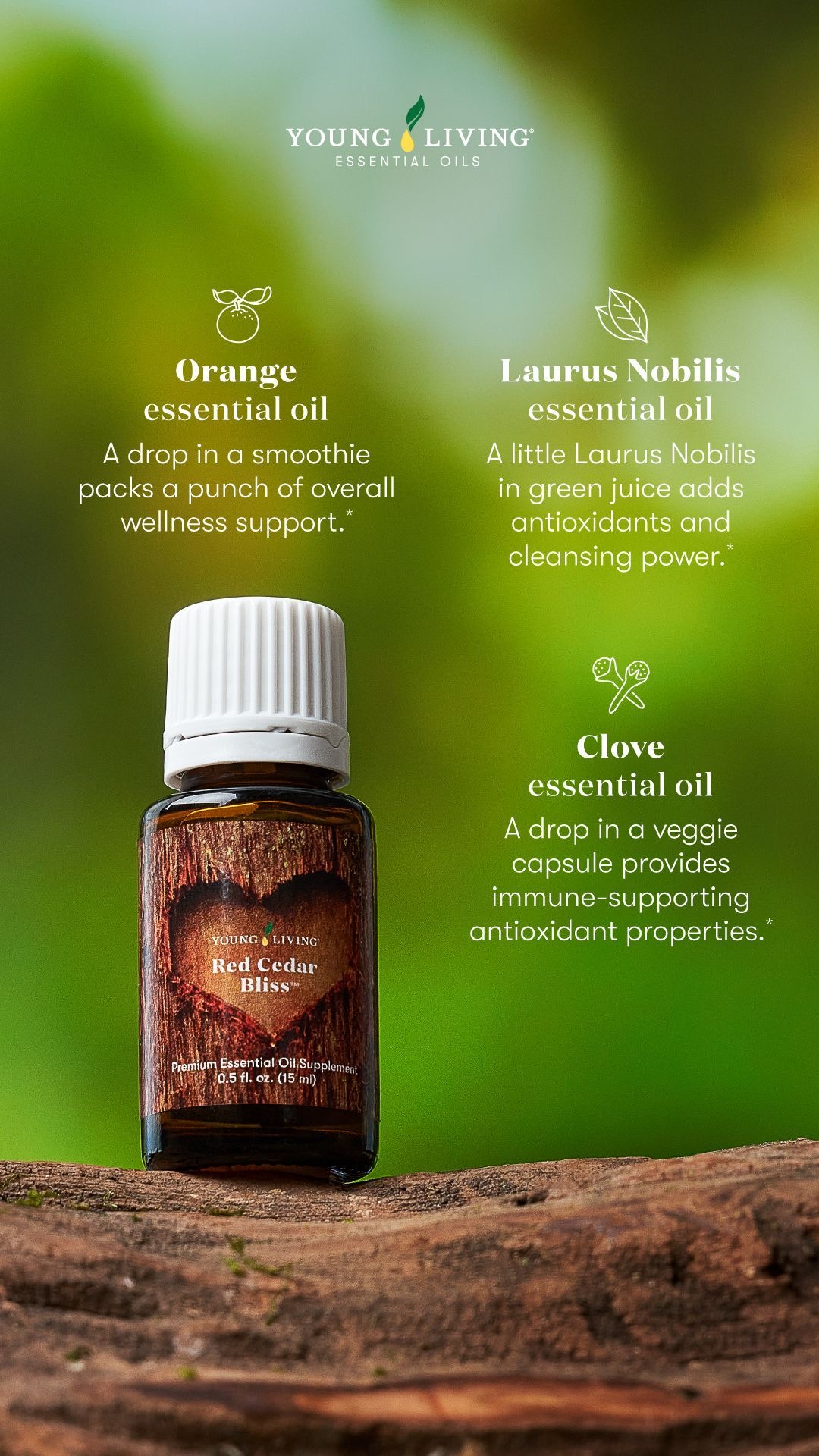 Young Living Introduces Red Cedar Bliss Essential Oil Blend And 3 Ways To Use It!