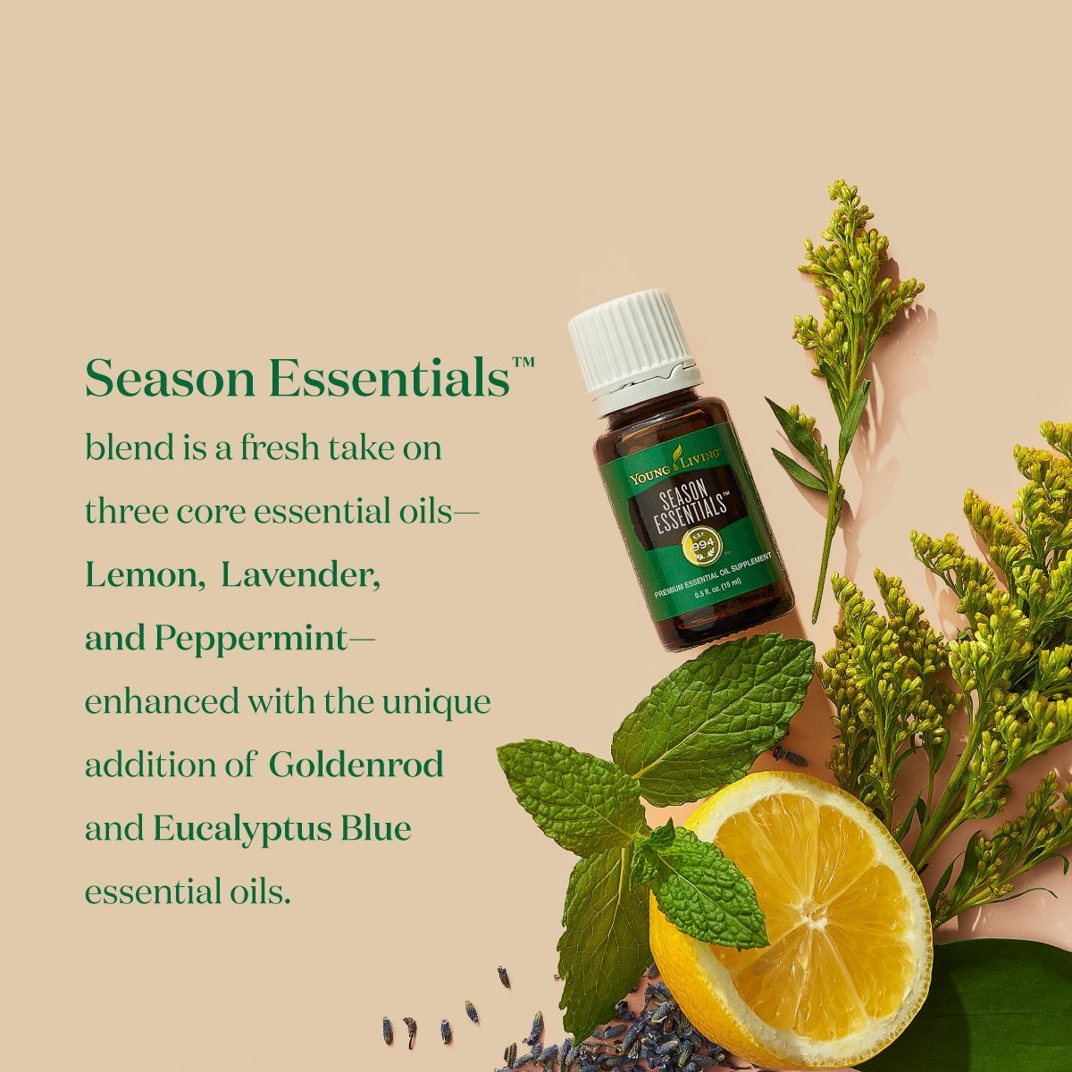 Young Living’s New Seasonal Sidekick Is Here! Season Essentials Essential Oil Blend!