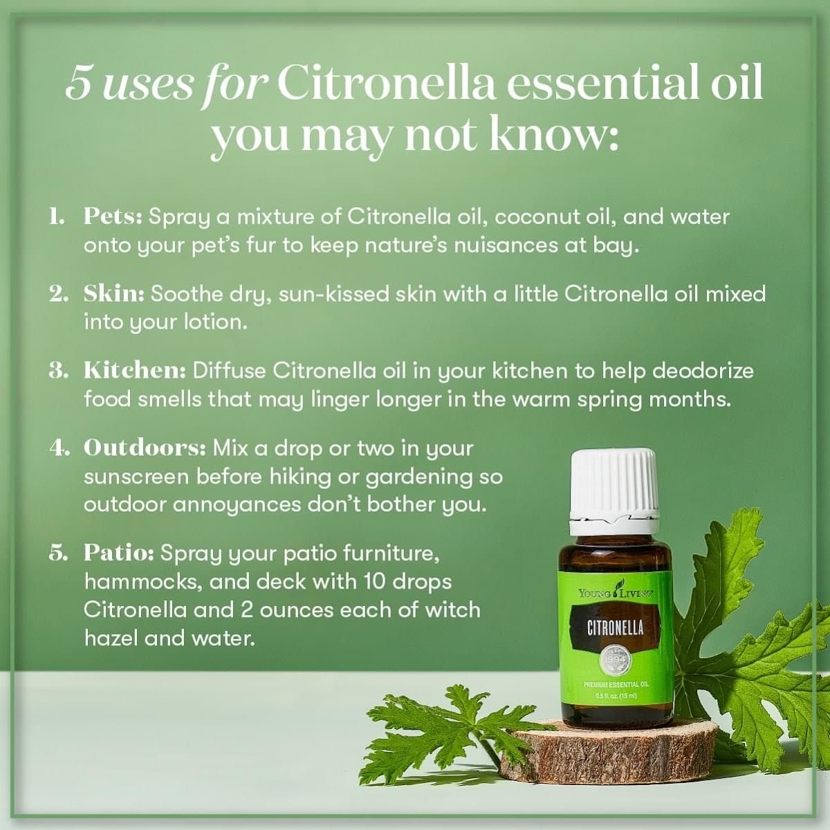 5 Uses For Citronella Essential Oil Plus A DIY Spray To Deter Pests!